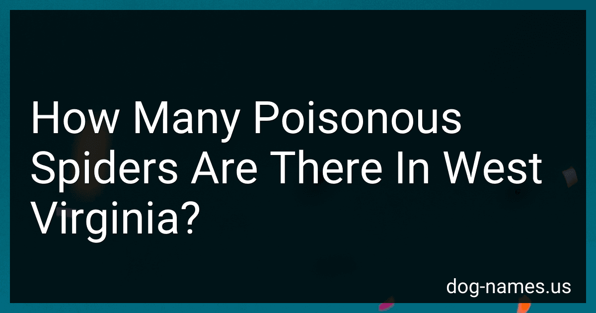 How Many Poisonous Spiders Are There In West Virginia? preview