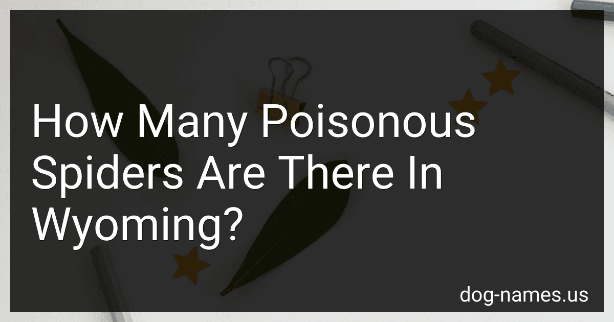 How Many Poisonous Spiders Are There In Wyoming? image