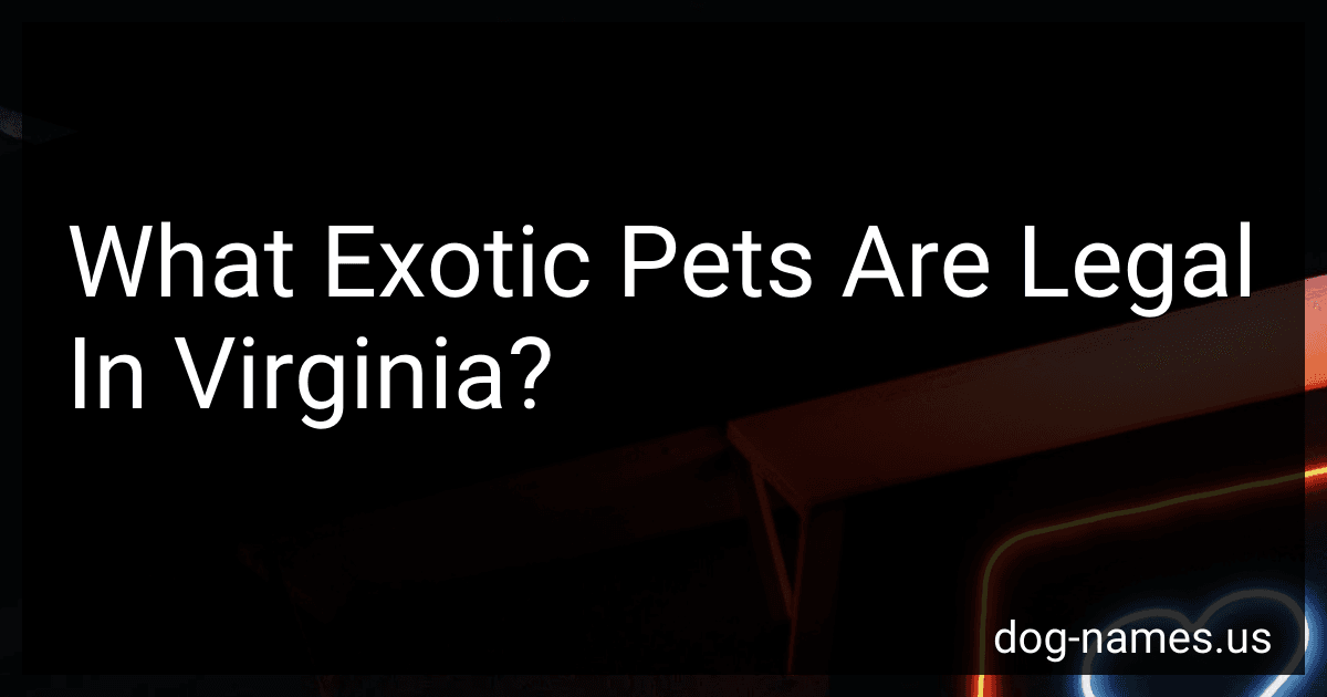 What Exotic Pets Are Legal In Virginia? preview