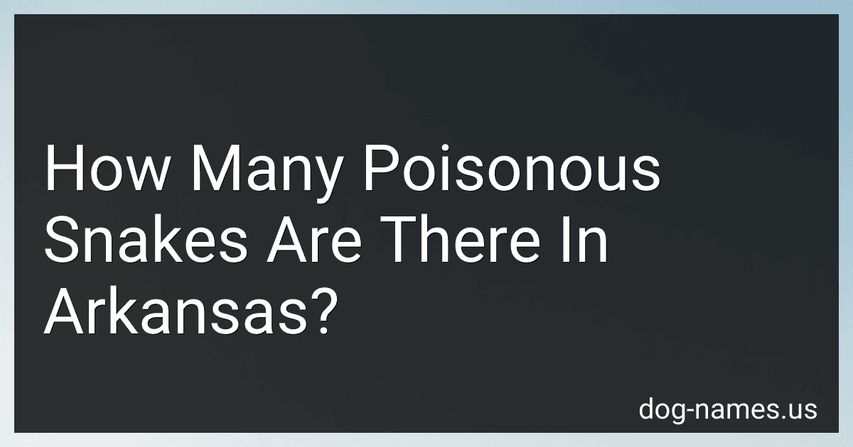 How Many Poisonous Snakes Are There In Arkansas? preview