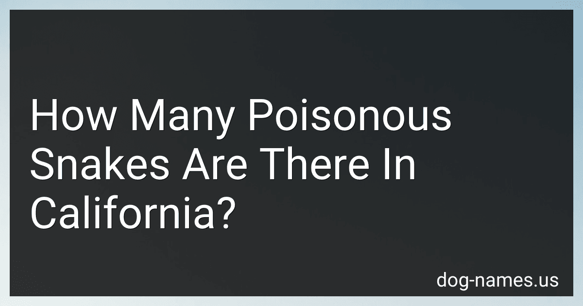 How Many Poisonous Snakes Are There In California? preview