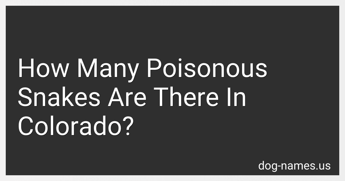 How Many Poisonous Snakes Are There In Colorado? preview