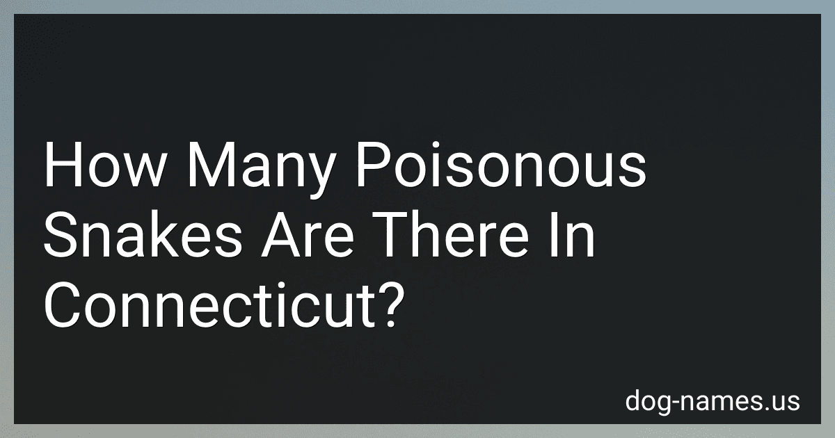 How Many Poisonous Snakes Are There In Connecticut? preview