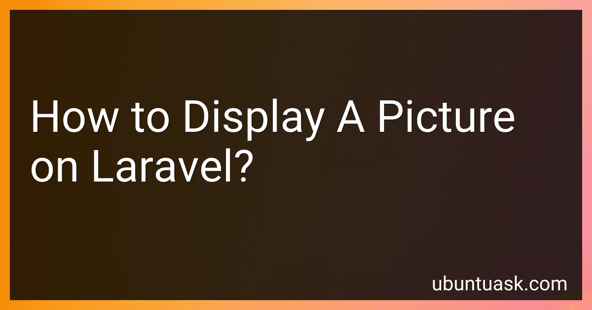 How to Display A Picture on Laravel? image