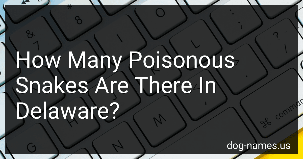 How Many Poisonous Snakes Are There In Delaware? preview