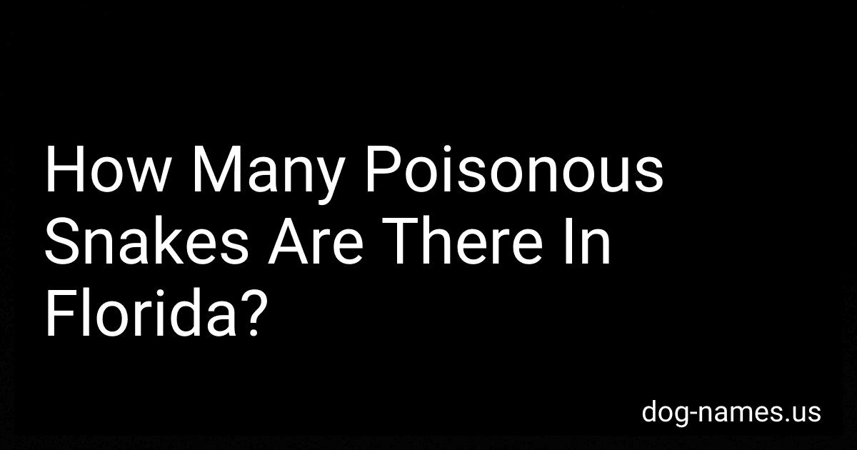 How Many Poisonous Snakes Are There In Florida? preview