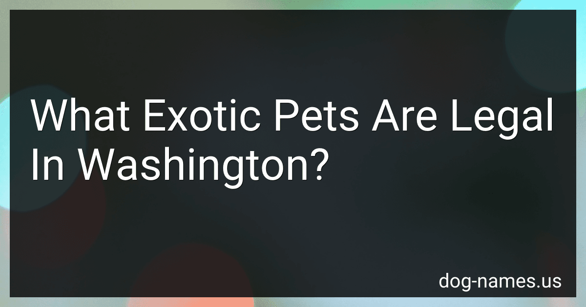 What Exotic Pets Are Legal In Washington? preview