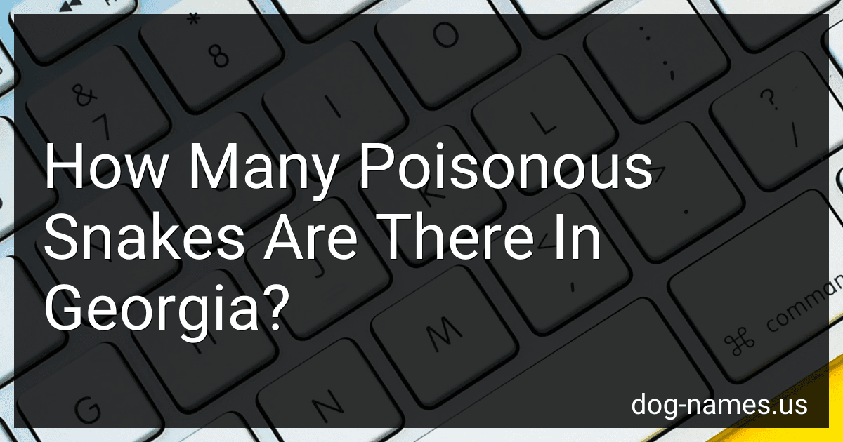 How Many Poisonous Snakes Are There In Georgia? preview