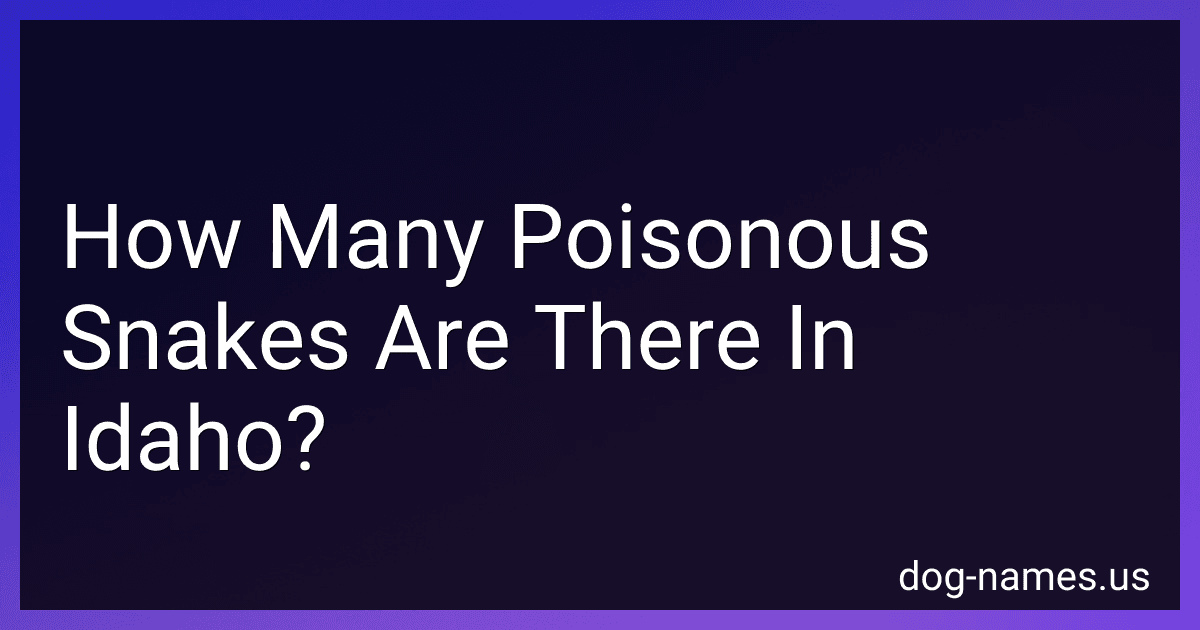 How Many Poisonous Snakes Are There In Idaho? preview