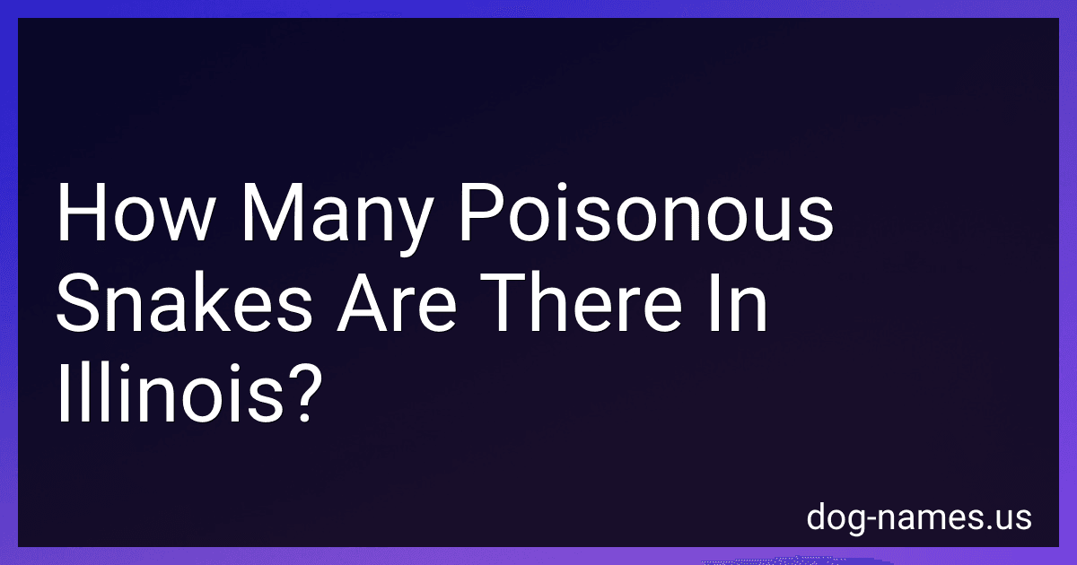How Many Poisonous Snakes Are There In Illinois? preview