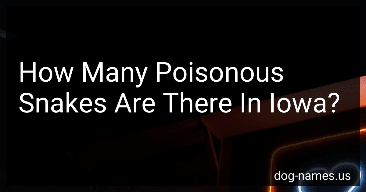 How Many Poisonous Snakes Are There In Iowa? preview