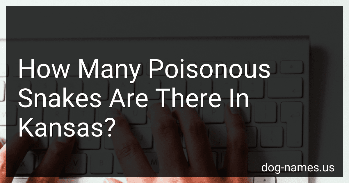How Many Poisonous Snakes Are There In Kansas? preview