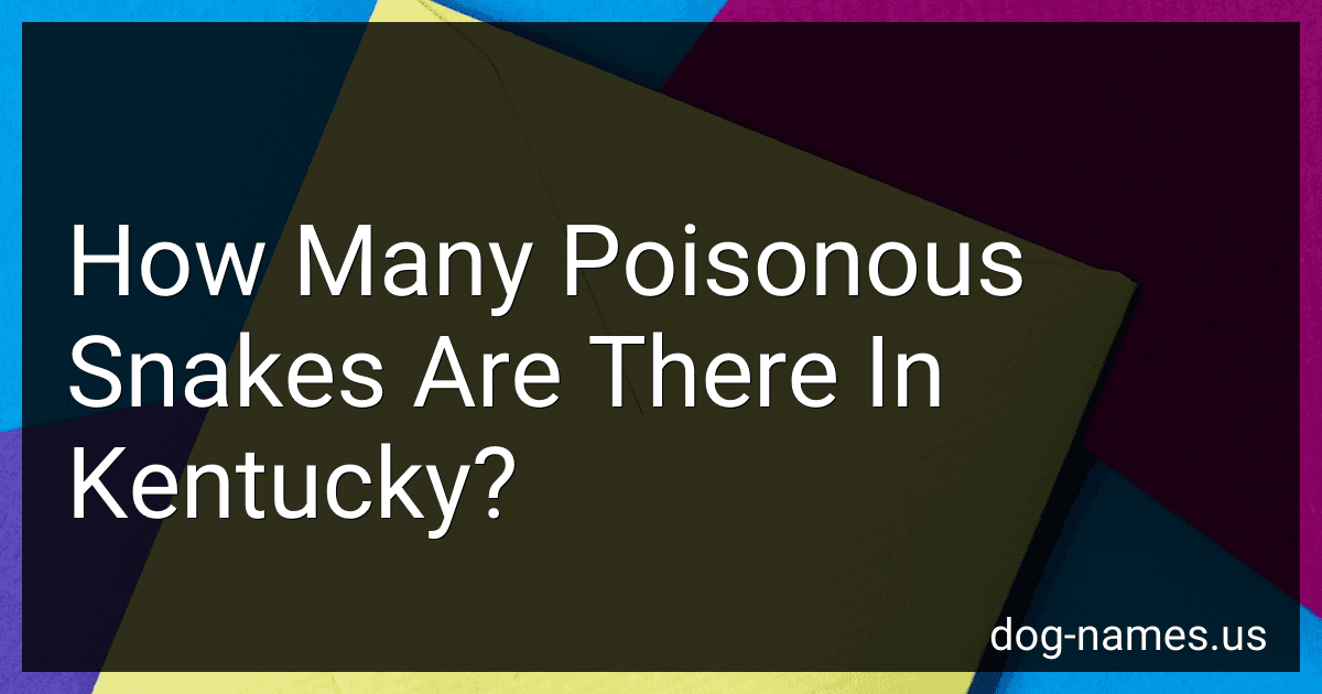 How Many Poisonous Snakes Are There In Kentucky? preview
