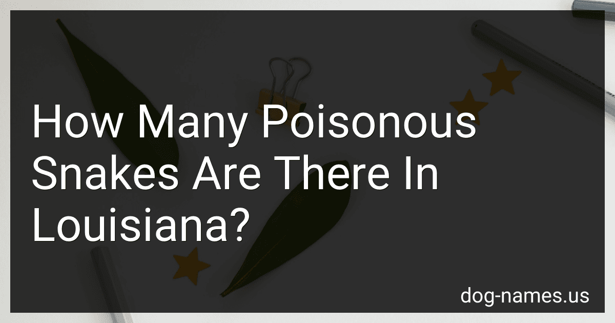 How Many Poisonous Snakes Are There In Louisiana? preview