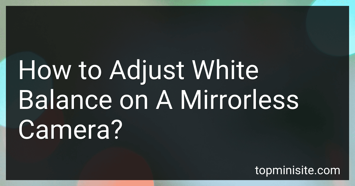 How to Adjust White Balance on A Mirrorless Camera? image