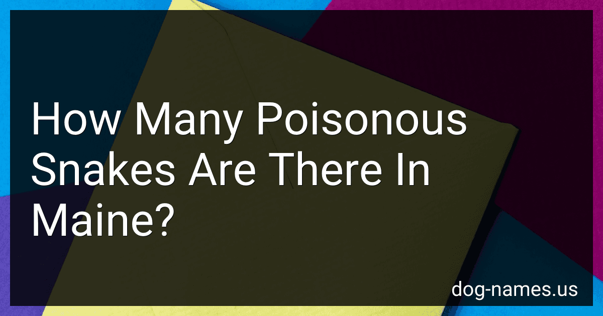 How Many Poisonous Snakes Are There In Maine? preview
