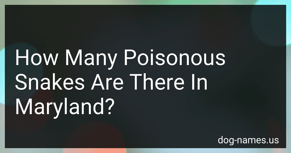 How Many Poisonous Snakes Are There In Maryland? preview