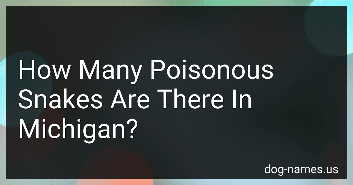 How Many Poisonous Snakes Are There In Michigan? preview