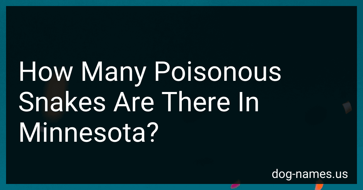 How Many Poisonous Snakes Are There In Minnesota? image