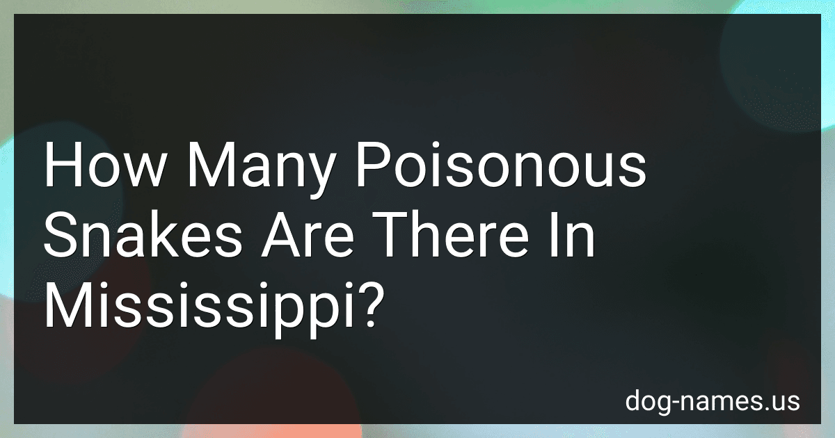 How Many Poisonous Snakes Are There In Mississippi? preview