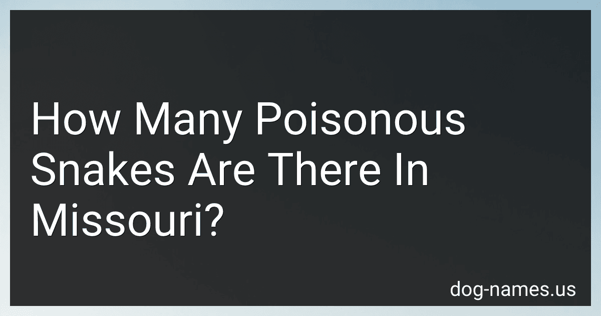 How Many Poisonous Snakes Are There In Missouri? preview