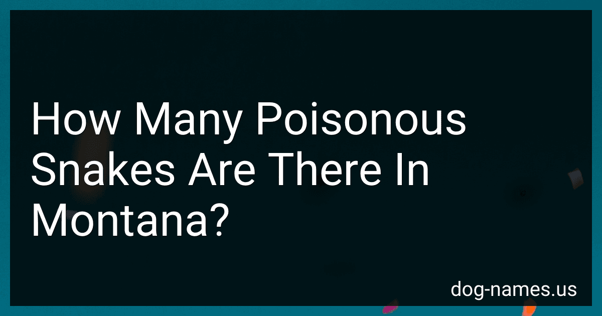 How Many Poisonous Snakes Are There In Montana? preview