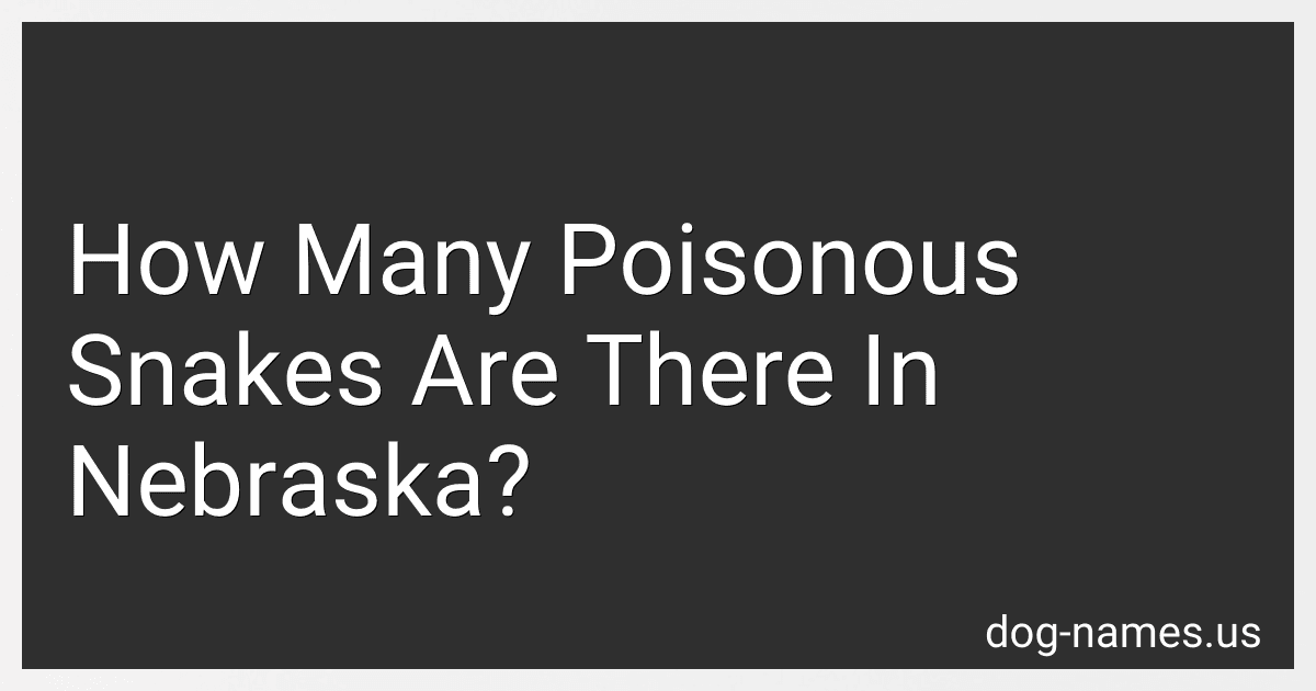 How Many Poisonous Snakes Are There In Nebraska? preview