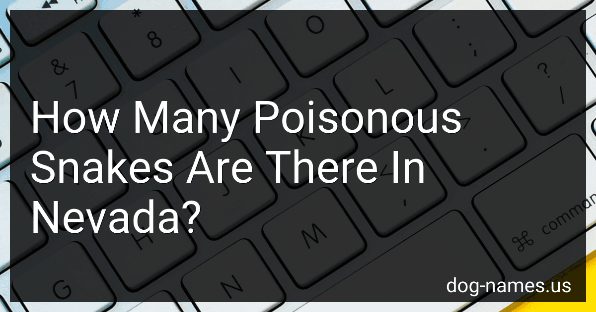 How Many Poisonous Snakes Are There In Nevada? preview