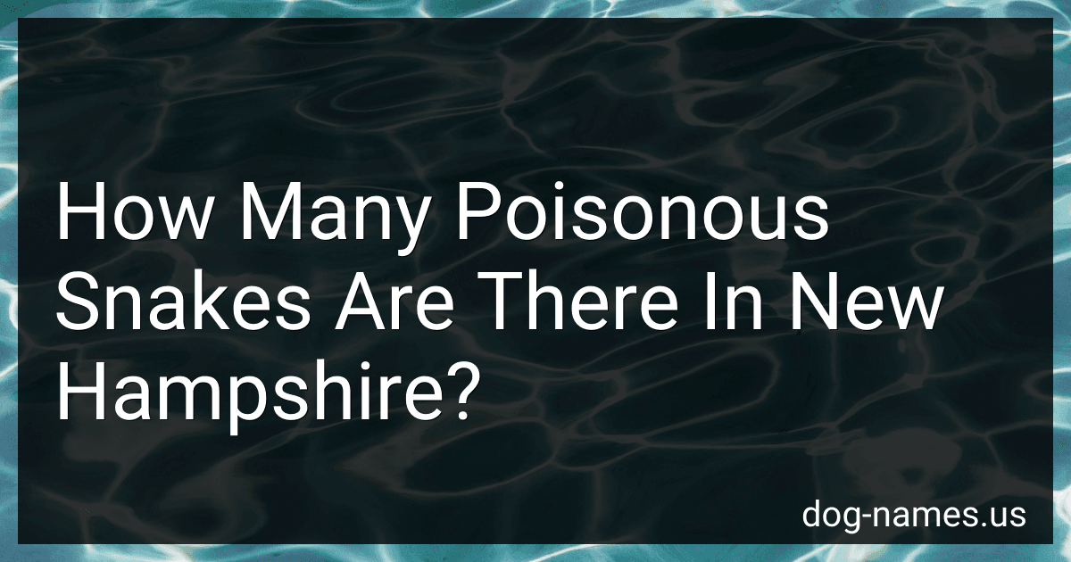 How Many Poisonous Snakes Are There In New Hampshire? preview
