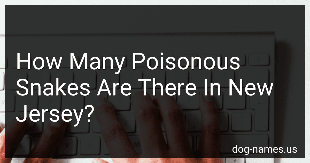 How Many Poisonous Snakes Are There In New Jersey? image