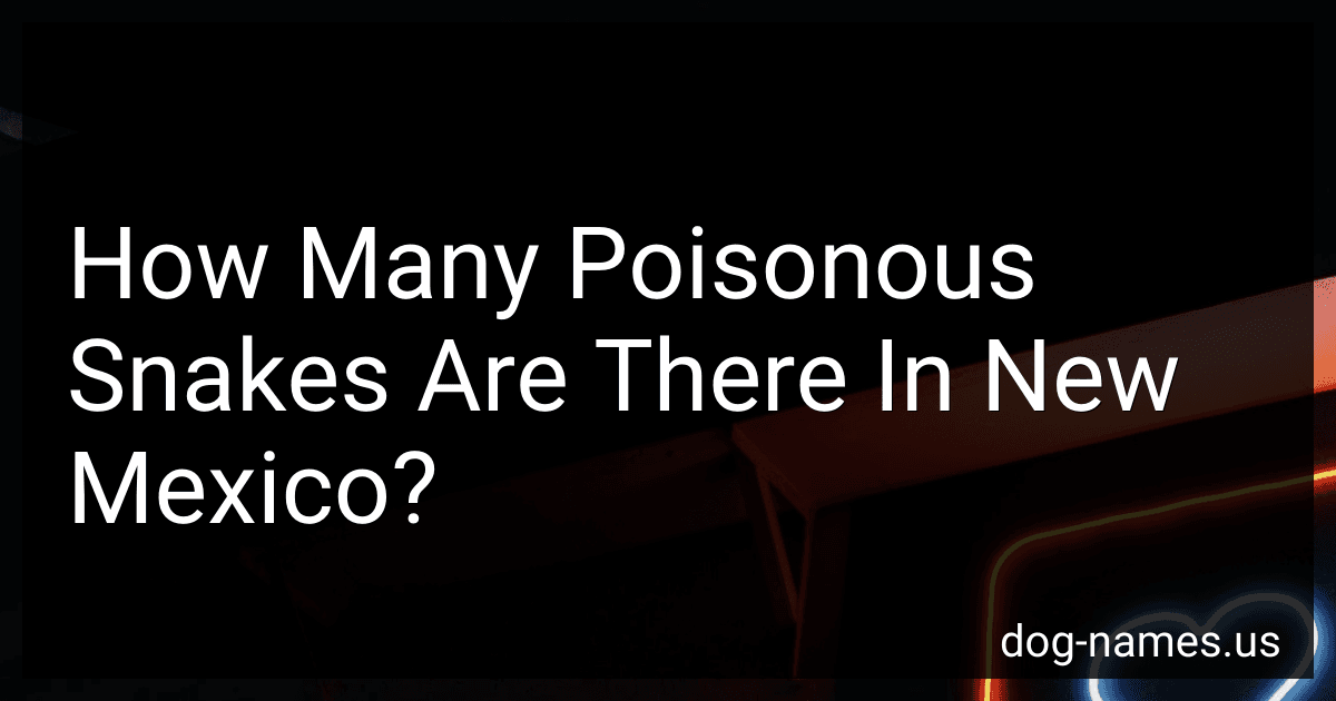 How Many Poisonous Snakes Are There In New Mexico? image