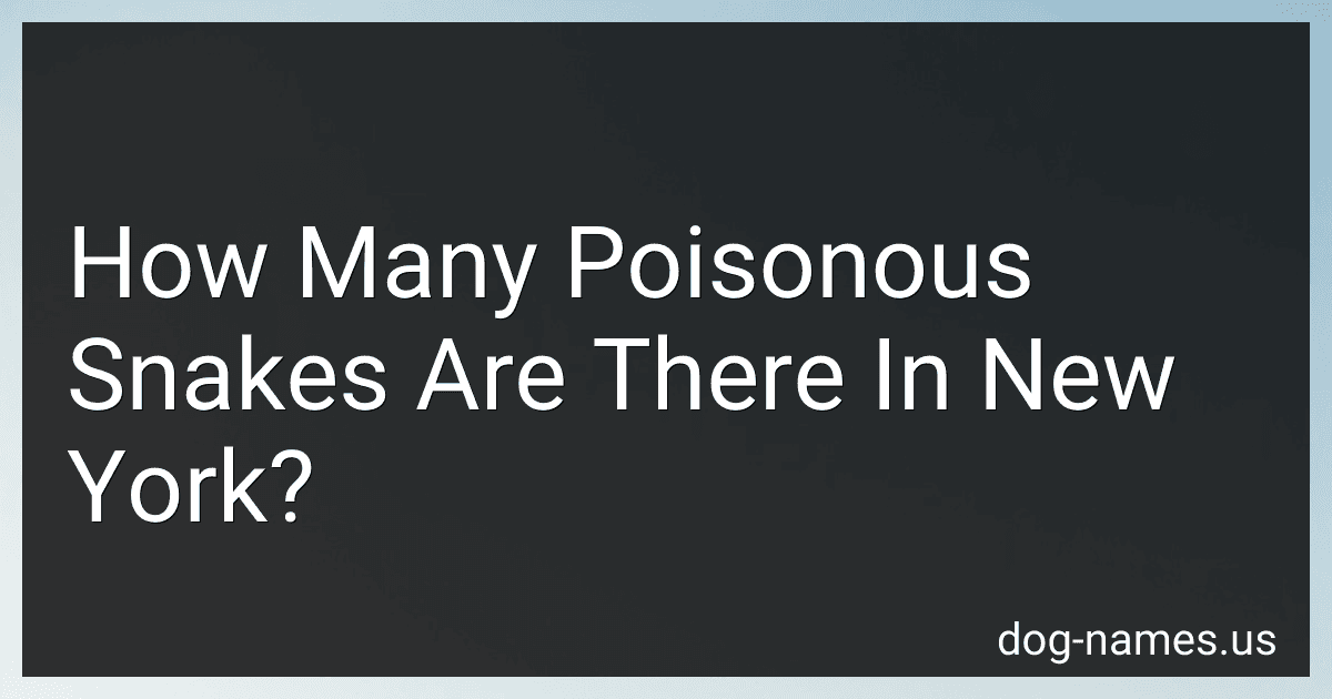 How Many Poisonous Snakes Are There In New York? preview