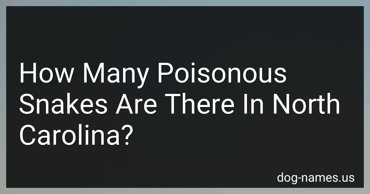 How Many Poisonous Snakes Are There In North Carolina? preview