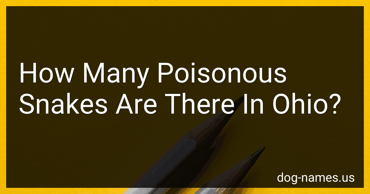 How Many Poisonous Snakes Are There In Ohio? preview