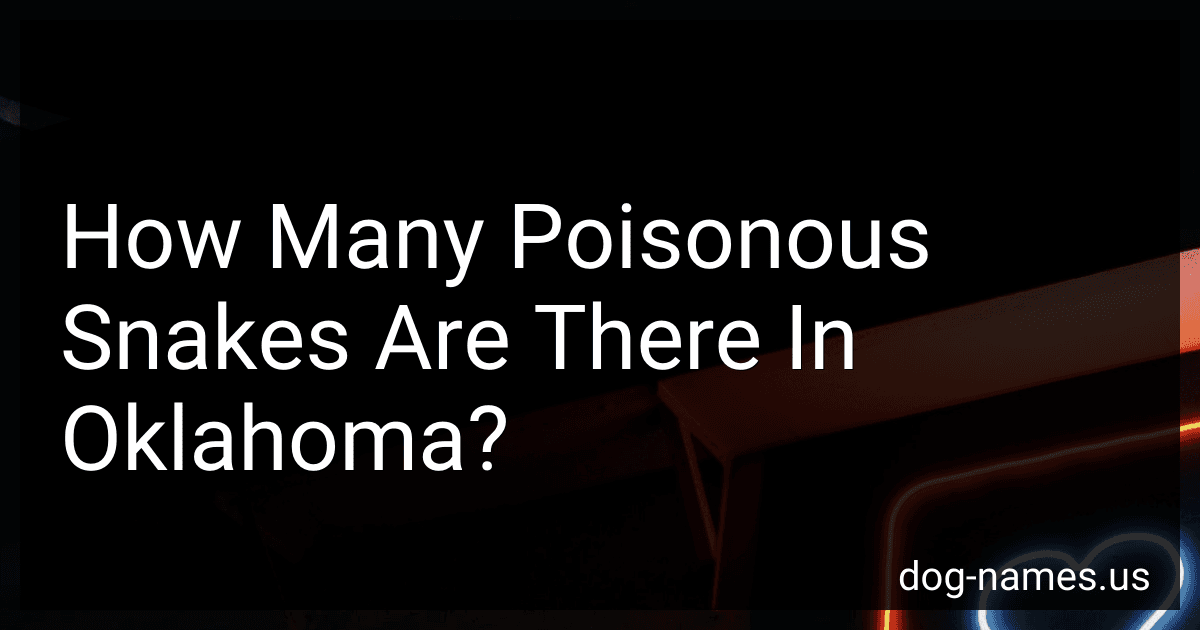 How Many Poisonous Snakes Are There In Oklahoma? preview
