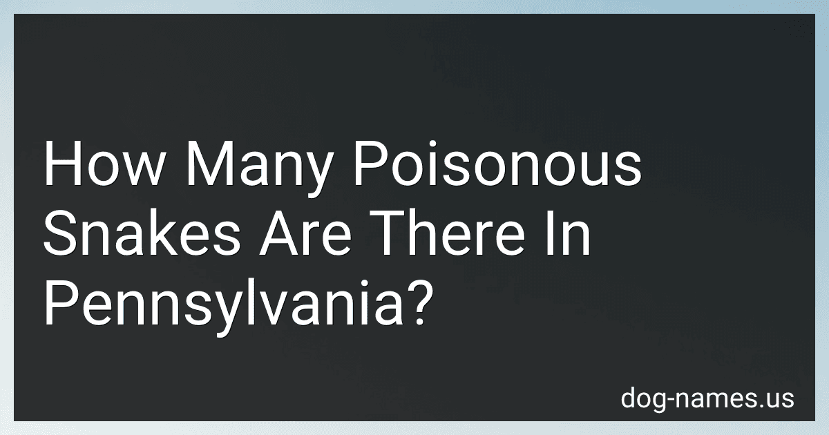 How Many Poisonous Snakes Are There In Pennsylvania? preview