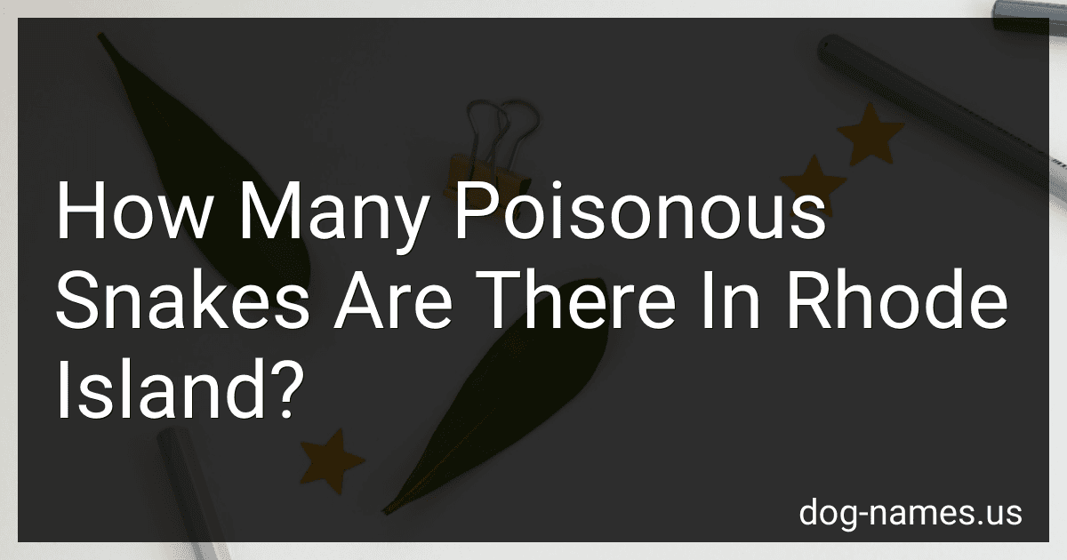 How Many Poisonous Snakes Are There In Rhode Island? preview