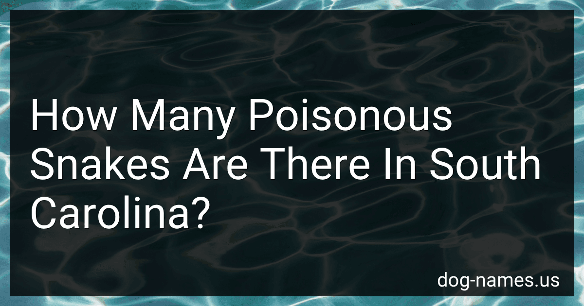 How Many Poisonous Snakes Are There In South Carolina? preview