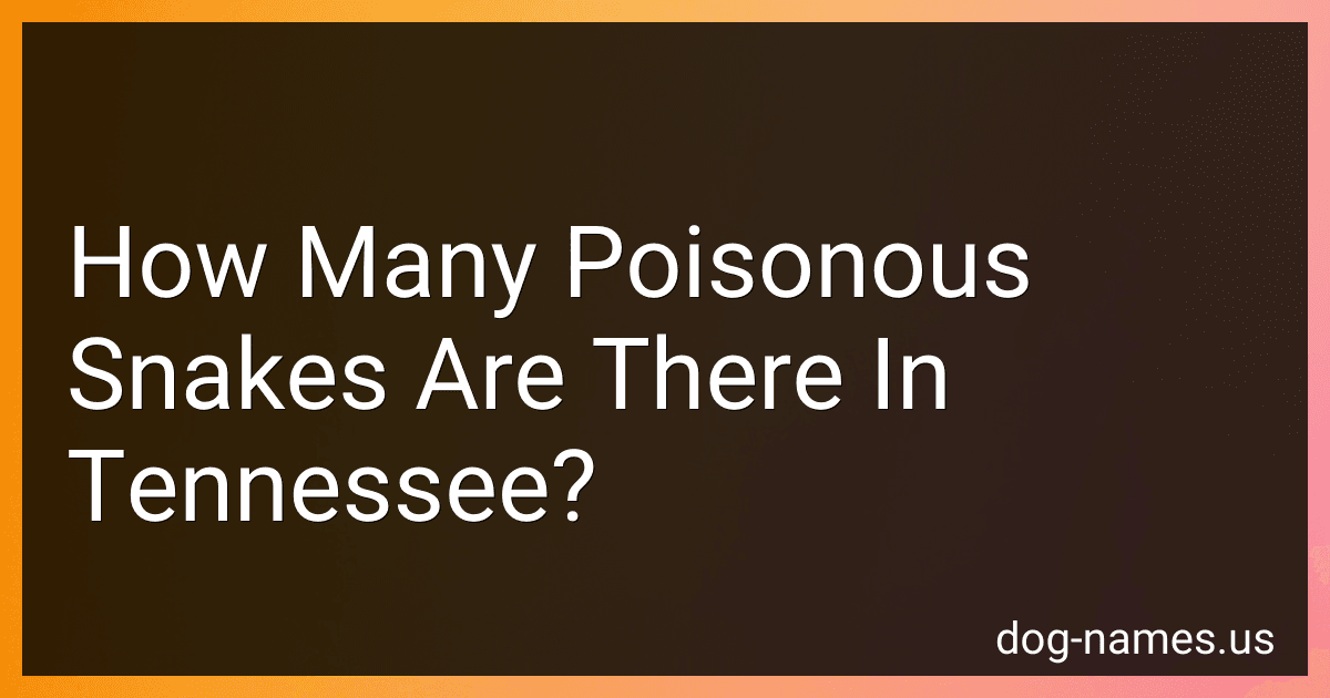 How Many Poisonous Snakes Are There In Tennessee? preview