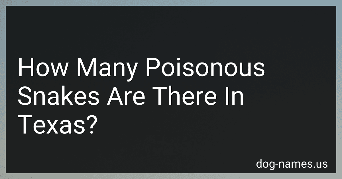 How Many Poisonous Snakes Are There In Texas? preview