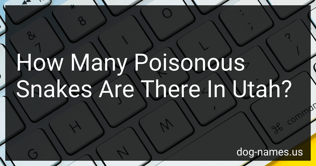 How Many Poisonous Snakes Are There In Utah? preview