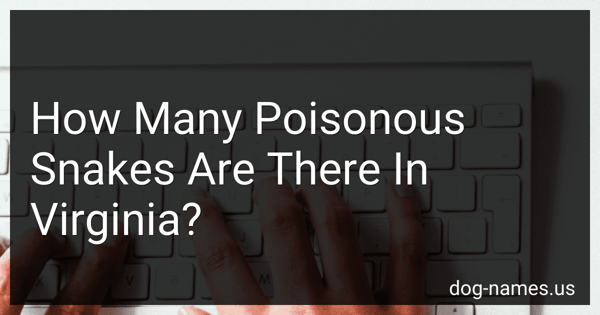 How Many Poisonous Snakes Are There In Virginia? preview
