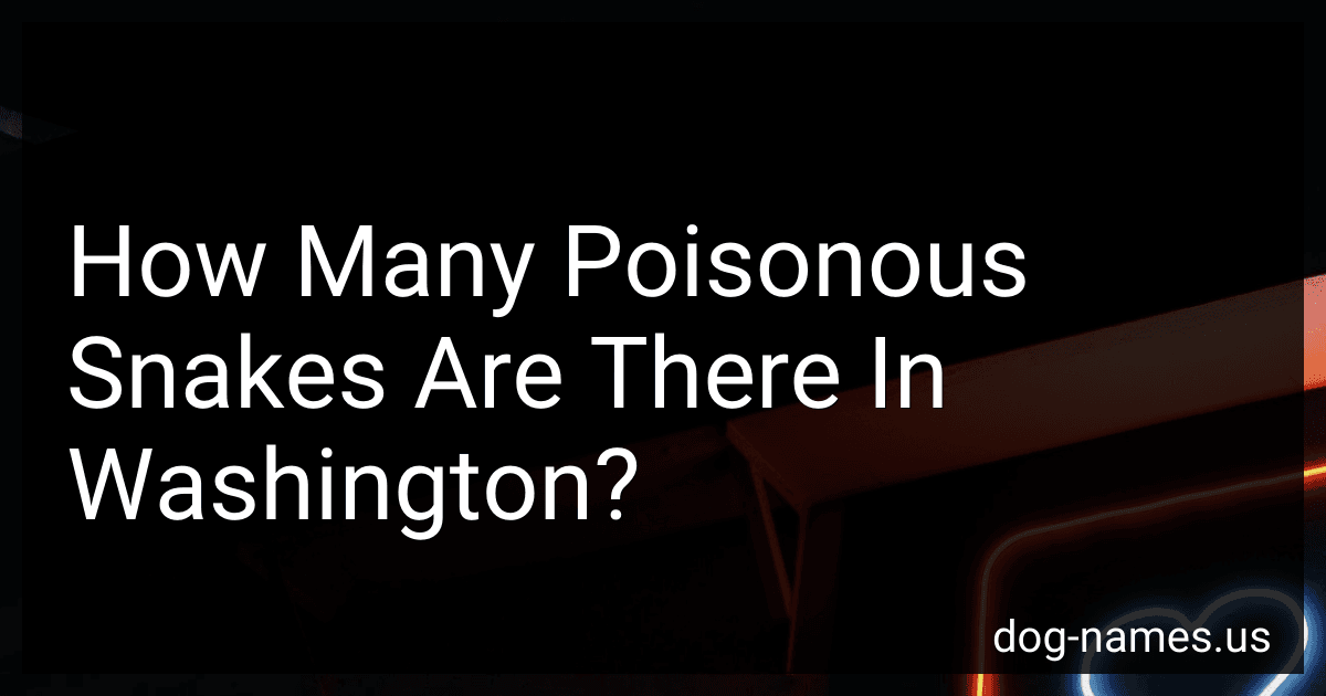 How Many Poisonous Snakes Are There In Washington? preview
