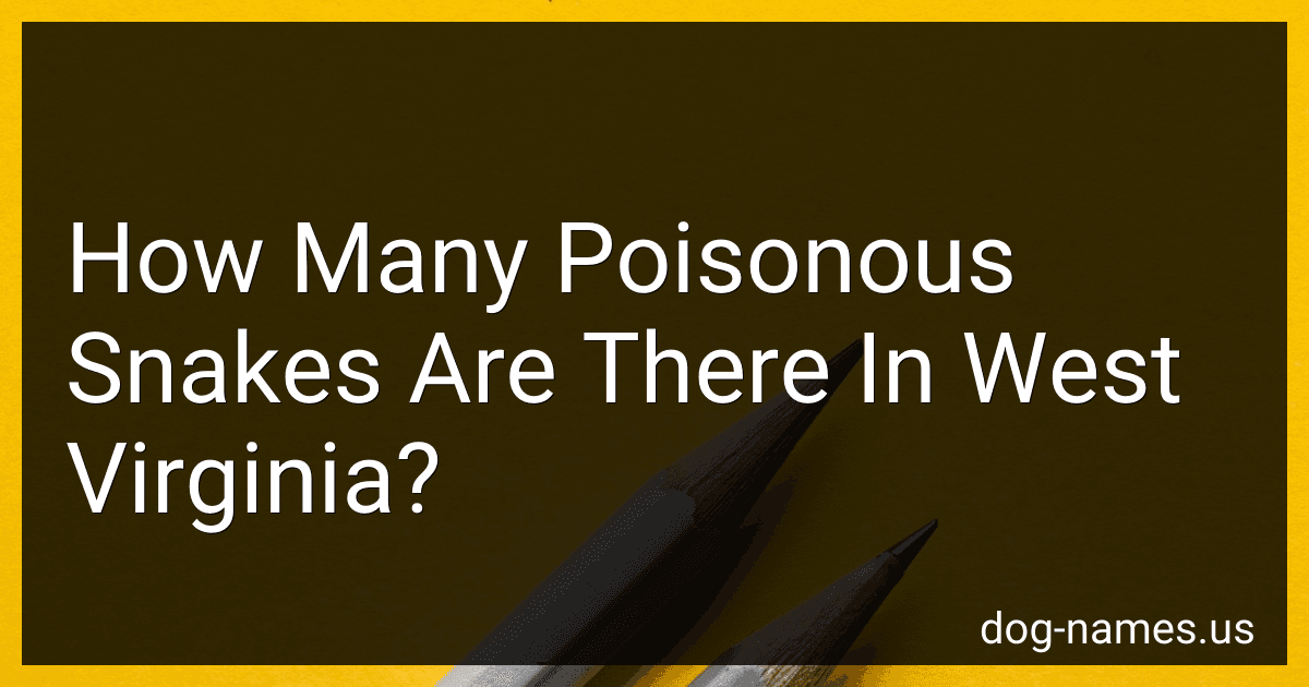 How Many Poisonous Snakes Are There In West Virginia? preview