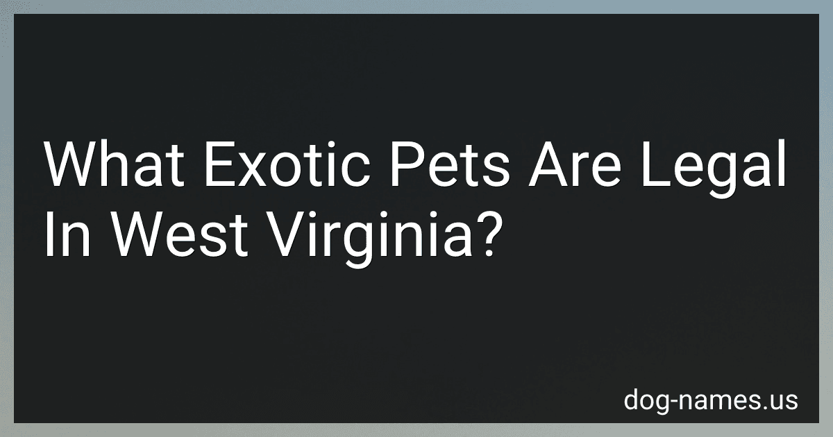 What Exotic Pets Are Legal In West Virginia? preview