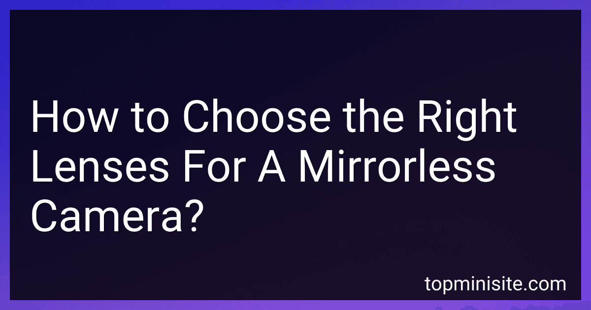 How to Choose the Right Lenses For A Mirrorless Camera? image