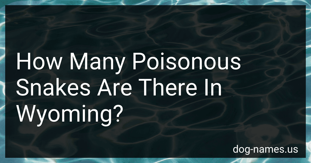 How Many Poisonous Snakes Are There In Wyoming? preview