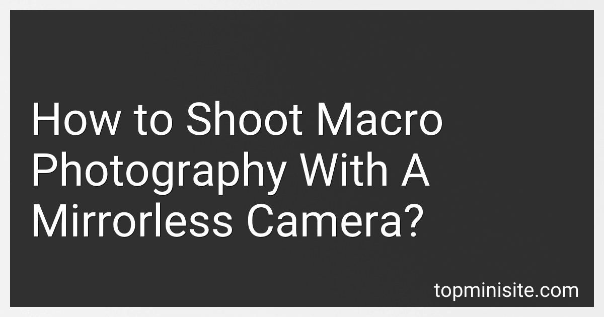 How to Shoot Macro Photography With A Mirrorless Camera? image