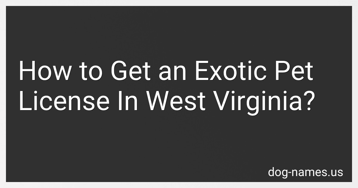 How to Get an Exotic Pet License In West Virginia? preview