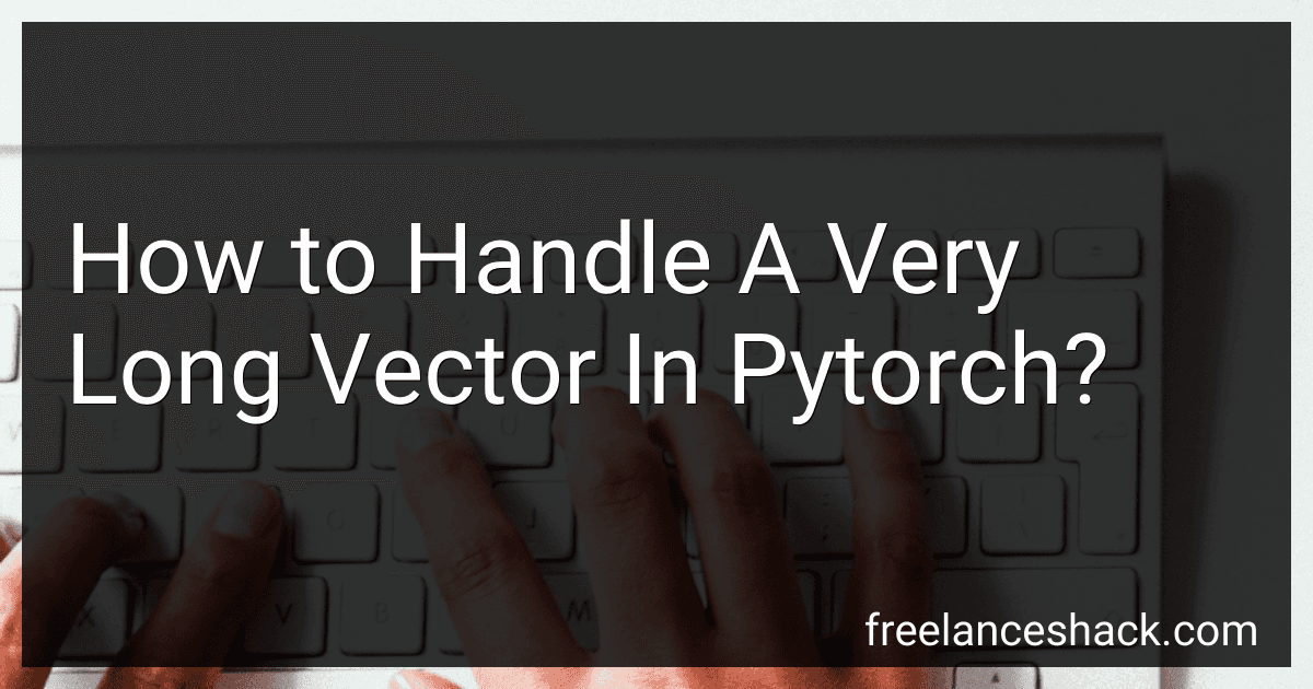 How to Handle A Very Long Vector In Pytorch? image